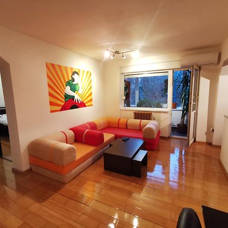 Comfy & Pleasant Apartment 10 Min Walk To Downtown Timişoara Buitenkant foto
