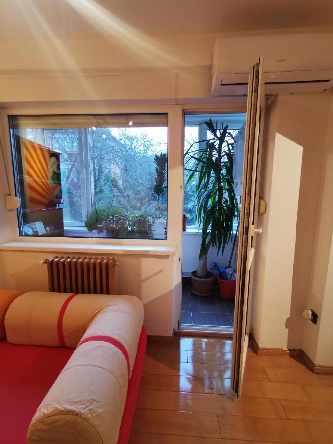 Comfy & Pleasant Apartment 10 Min Walk To Downtown Timişoara Buitenkant foto