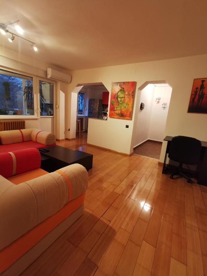 Comfy & Pleasant Apartment 10 Min Walk To Downtown Timişoara Buitenkant foto
