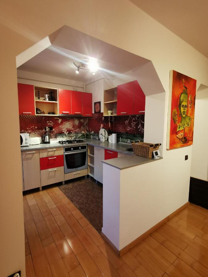 Comfy & Pleasant Apartment 10 Min Walk To Downtown Timişoara Buitenkant foto