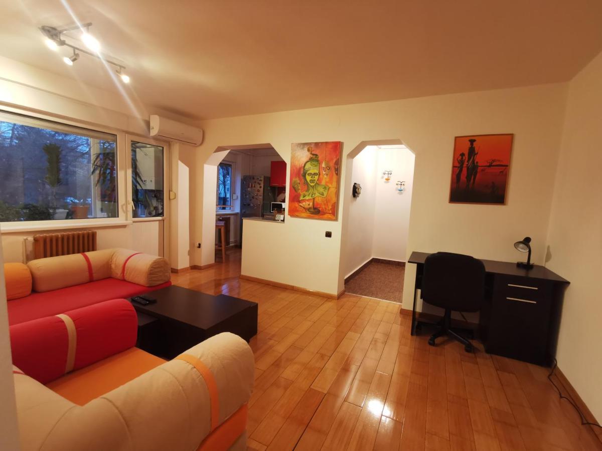 Comfy & Pleasant Apartment 10 Min Walk To Downtown Timişoara Buitenkant foto