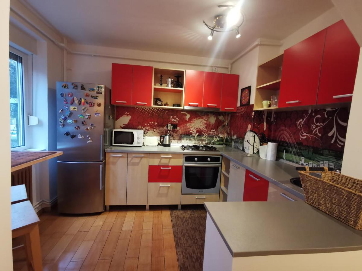 Comfy & Pleasant Apartment 10 Min Walk To Downtown Timişoara Buitenkant foto