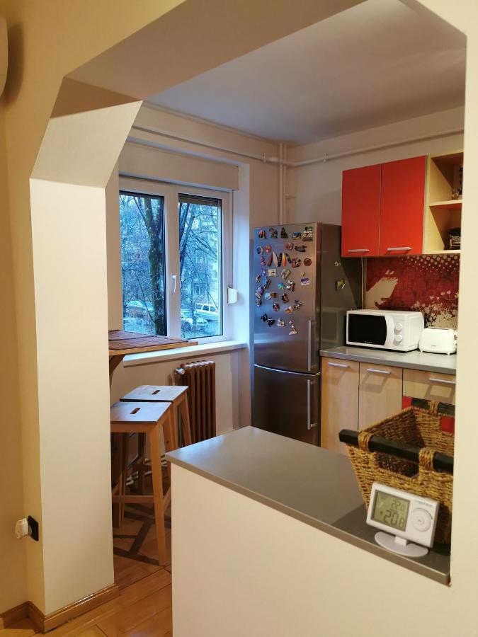 Comfy & Pleasant Apartment 10 Min Walk To Downtown Timişoara Buitenkant foto
