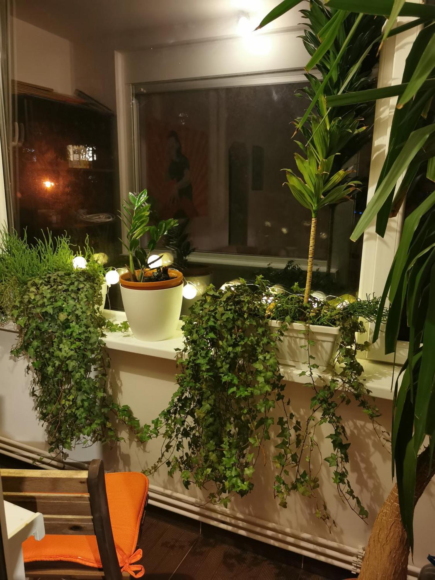 Comfy & Pleasant Apartment 10 Min Walk To Downtown Timişoara Buitenkant foto