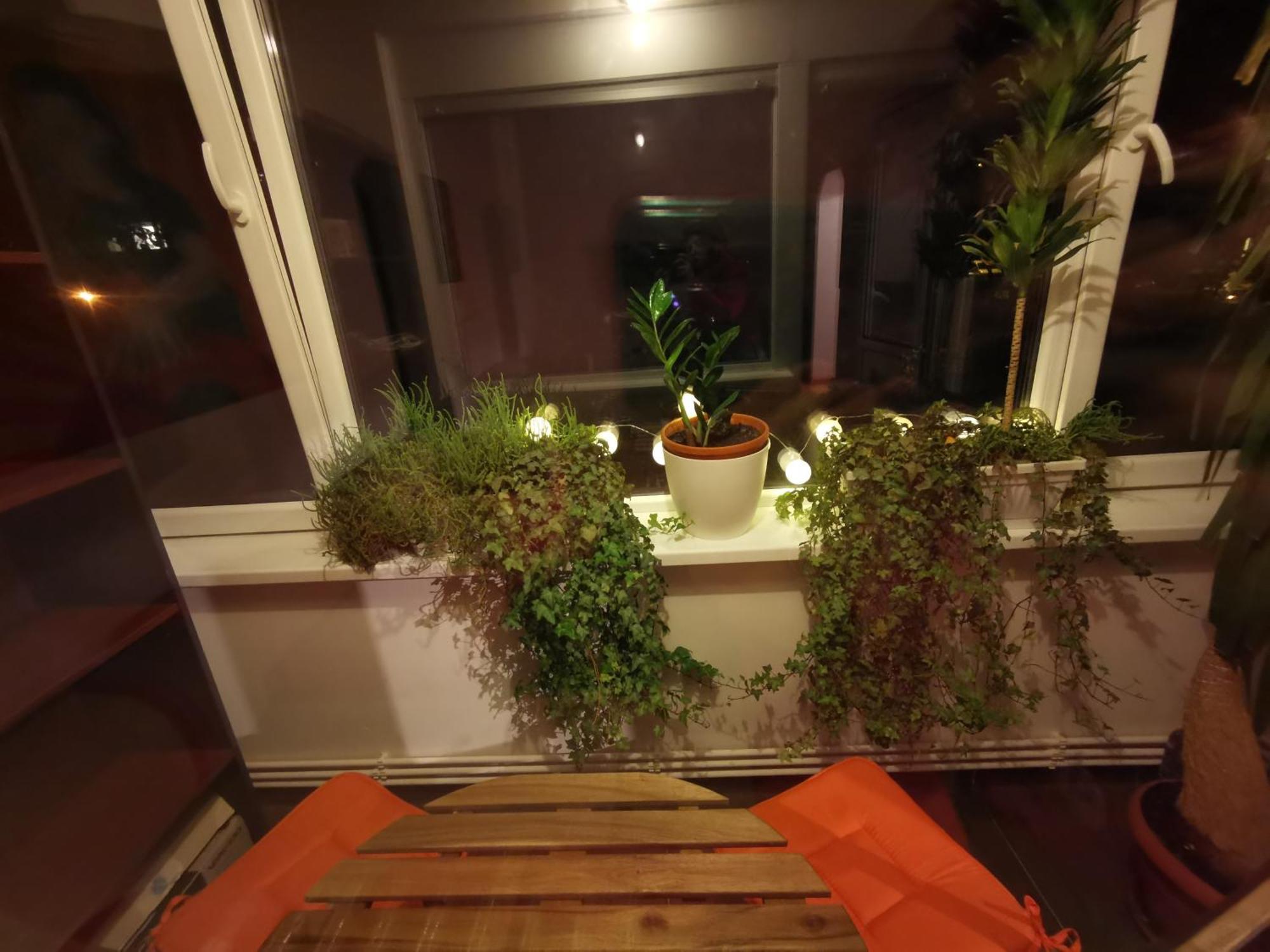 Comfy & Pleasant Apartment 10 Min Walk To Downtown Timişoara Buitenkant foto