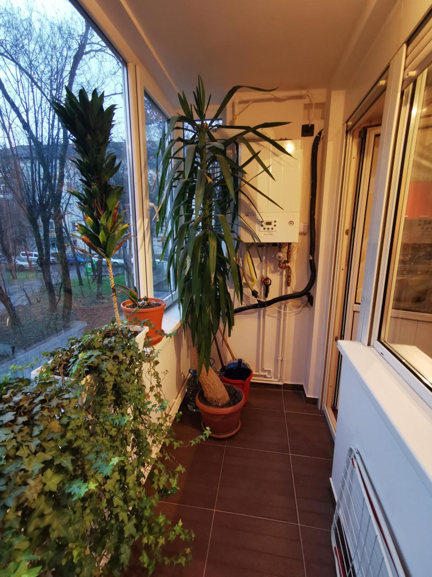 Comfy & Pleasant Apartment 10 Min Walk To Downtown Timişoara Buitenkant foto